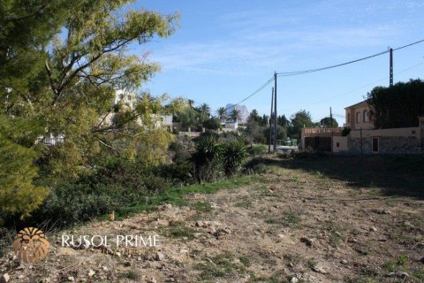 Land plot for sale in Calpe, Alicante, Spain 1840 sq.m. No. 39367 - photo 1