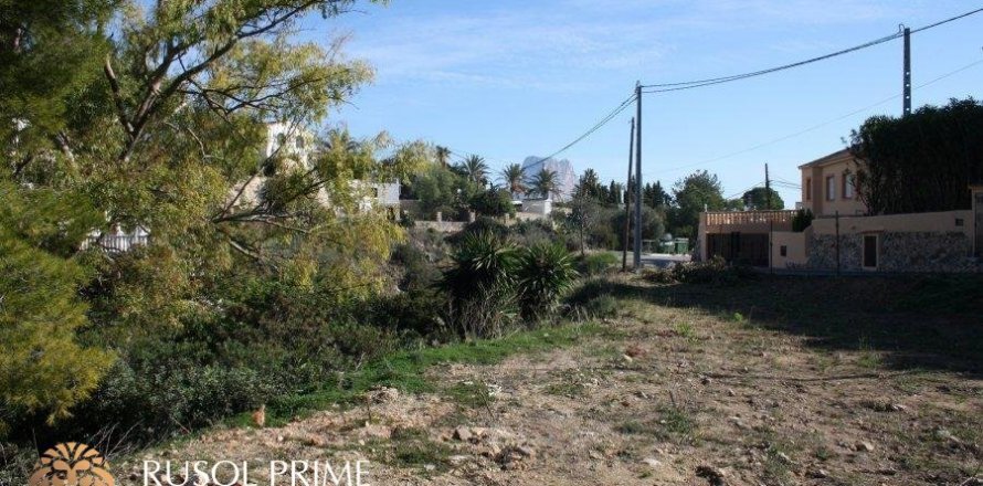 Land plot in Calpe, Alicante, Spain 1840 sq.m. No. 39367