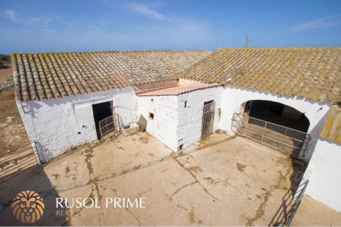 Finca for sale in Ciutadella De Menorca, Menorca, Spain 8 bedrooms, 822 sq.m. No. 10564 - photo 18