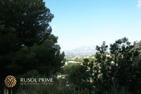 Land plot for sale in Altea, Alicante, Spain 9586 sq.m. No. 39425 - photo 3