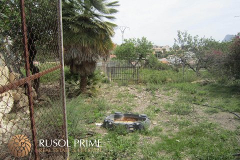 Land plot for sale in Calpe, Alicante, Spain 810 sq.m. No. 39416 - photo 12