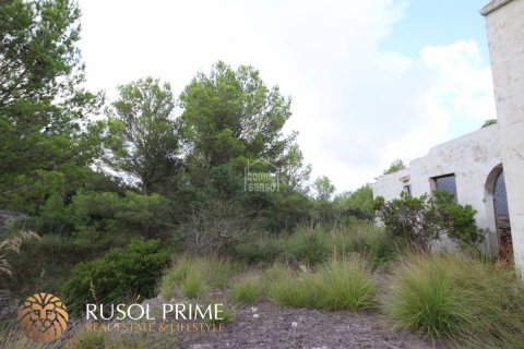 Commercial property for sale in Es Mercadal, Menorca, Spain 3254550 sq.m. No. 39224 - photo 11