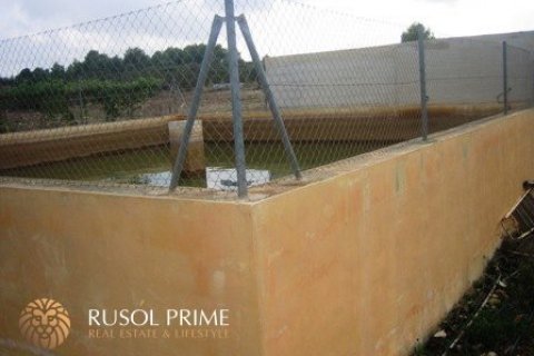 Land plot for sale Benissa, Alicante, Spain 18000 sq.m. No. 39395 - photo 4
