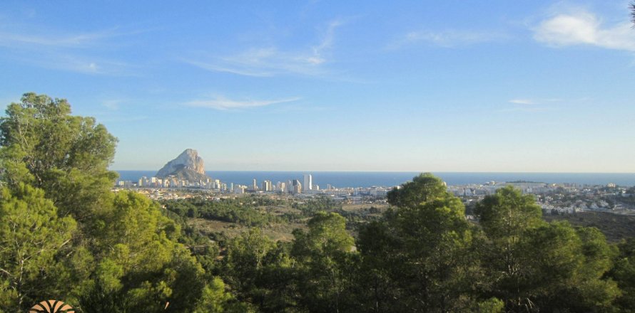 Land plot in Benissa, Alicante, Spain 33500 sq.m. No. 39403