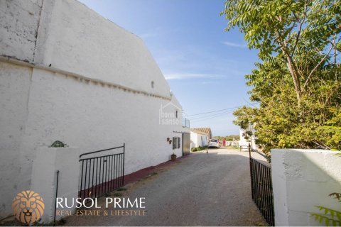 Finca for sale in Ciutadella De Menorca, Menorca, Spain 8 bedrooms, 490000 sq.m. No. 10564 - photo 5
