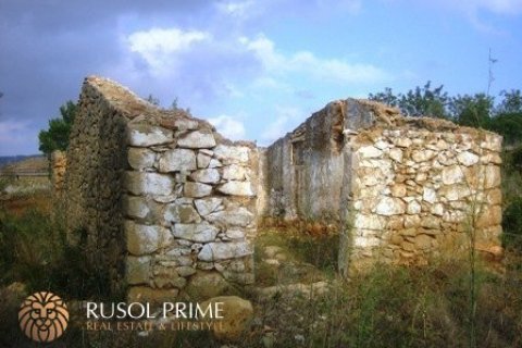 Land plot for sale Benissa, Alicante, Spain 18000 sq.m. No. 39395 - photo 3
