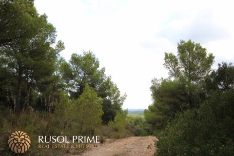 Commercial property for sale in Es Mercadal, Menorca, Spain 3254550 sq.m. No. 39224 - photo 17