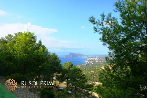 Land plot for sale Altea, Alicante, Spain 9586 sq.m. No. 39425 - photo 6
