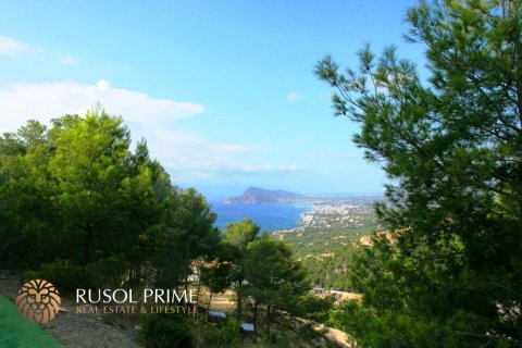 Land plot for sale in Altea, Alicante, Spain 9586 sq.m. No. 39425 - photo 6