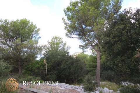 Commercial property for sale in Es Mercadal, Menorca, Spain 3254550 sq.m. No. 39224 - photo 14