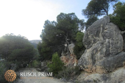 Land plot for sale Benissa, Alicante, Spain 33500 sq.m. No. 39403 - photo 2