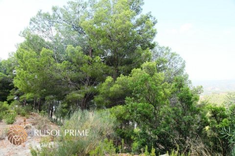 Land plot for sale Altea, Alicante, Spain 9586 sq.m. No. 39425 - photo 2
