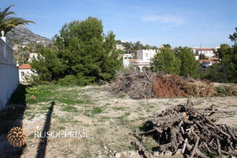 Land plot for sale in Calpe, Alicante, Spain 1840 sq.m. No. 39367 - photo 8