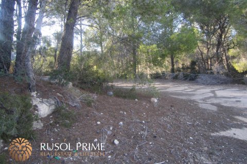 Land plot for sale Benissa, Alicante, Spain 33500 sq.m. No. 39403 - photo 7