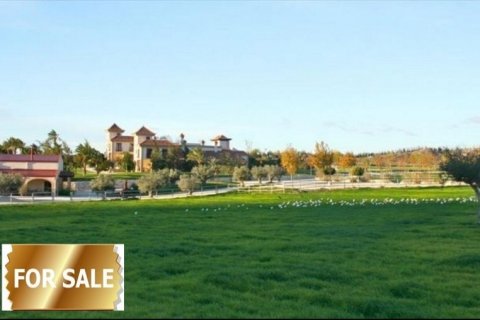 Hotel for sale Alicante, Spain 7 bedrooms,  No. 46688 - photo 2