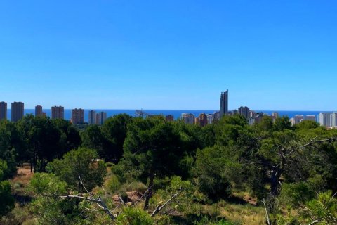 Land plot for sale Finestrat, Alicante, Spain No. 42641 - photo 5