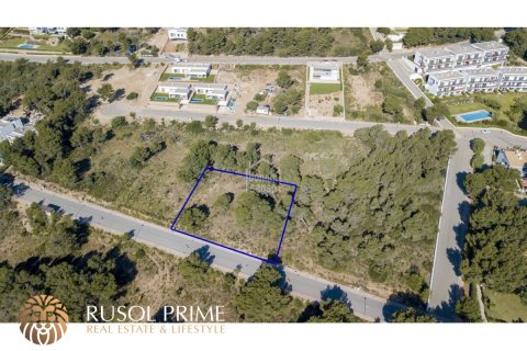 Land plot for sale in Es Mercadal, Menorca, Spain 2040 sq.m. No. 46906 - photo 3