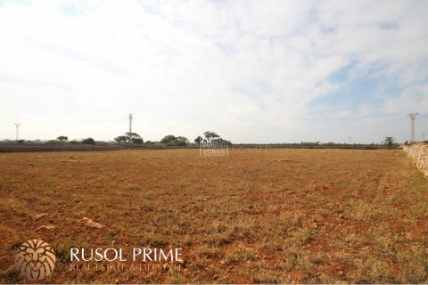 Land plot for sale in Ciutadella De Menorca, Menorca, Spain 32791 sq.m. No. 46881 - photo 7