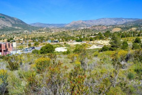 Land plot for sale in Finestrat, Alicante, Spain No. 44386 - photo 4