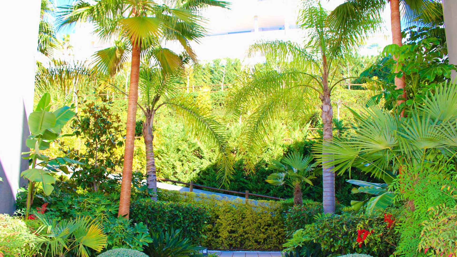 Botanic en Benahavís, Málaga, España No. 41326
