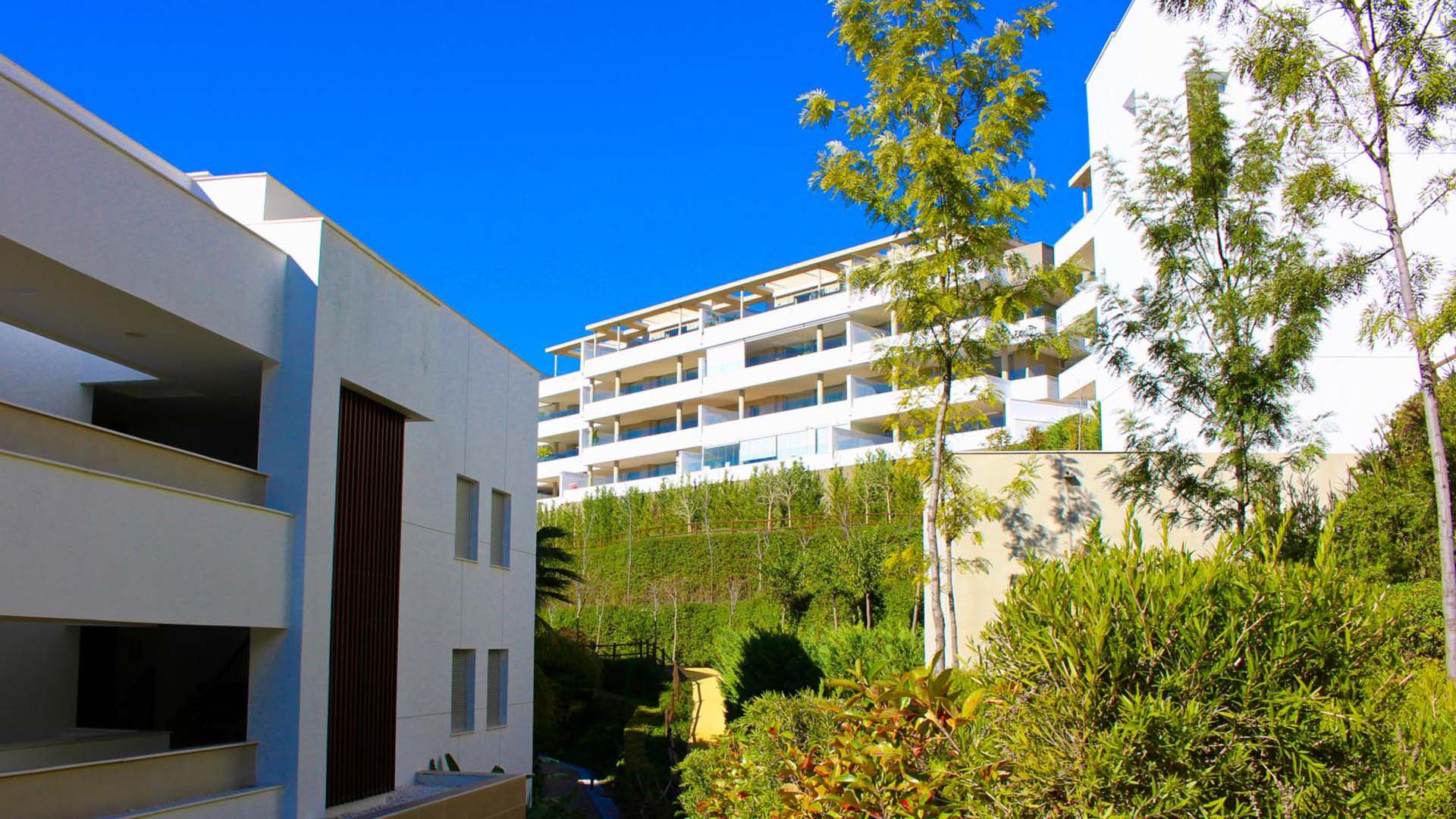 Botanic en Benahavís, Málaga, España No. 41326