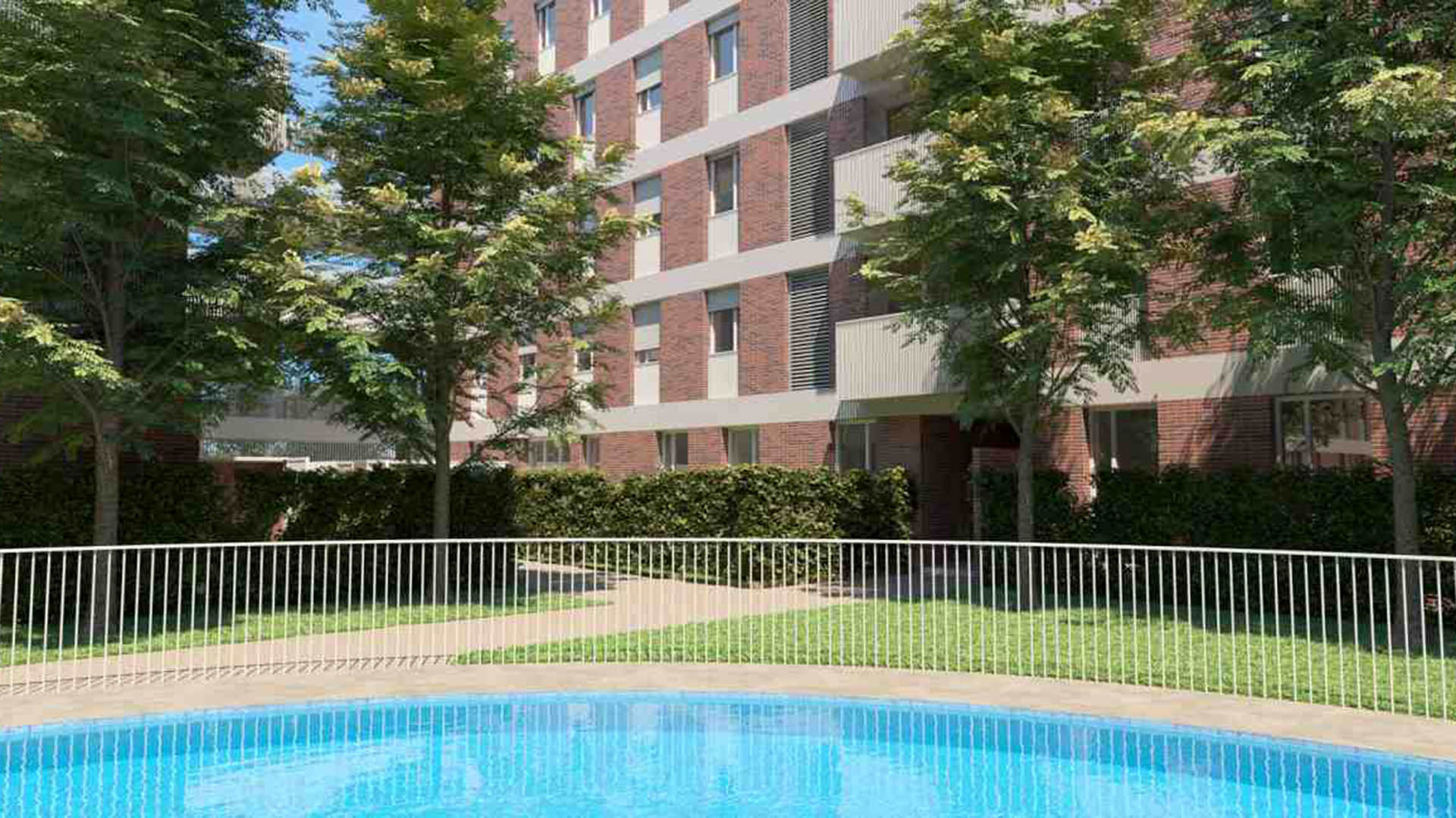 Langara à Torrejon de Ardoz, Madrid, Espagne No. 41243