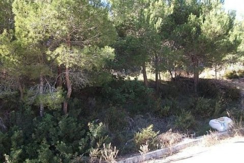 Land plot for sale Altea, Alicante, Spain No. 45512 - photo 3