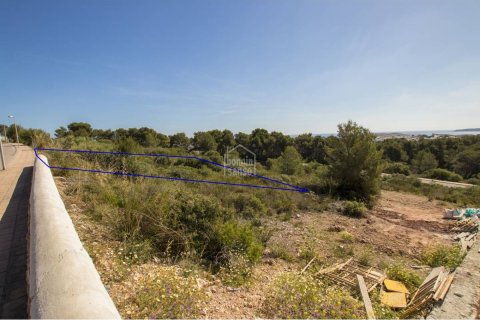 Land plot for sale in Es Mercadal, Menorca, Spain No. 46878 - photo 4