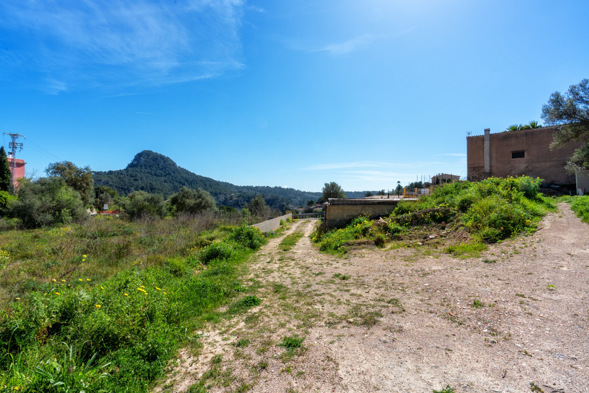 Terreno a Galilea, Mallorca, Spagna 2165 mq. N° 46775