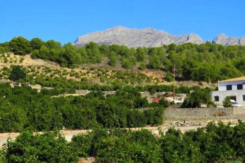 Land plot for sale in Altea, Alicante, Spain No. 42556 - photo 5