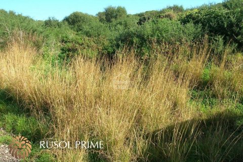 Land plot for sale in Mahon, Menorca, Spain No. 47132 - photo 3