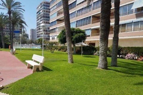 Apartment for sale in Alicante, Spain 3 bedrooms, 90 sq.m. No. 45162 - photo 8