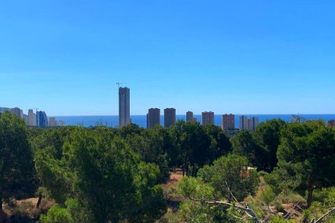 Land plot for sale Finestrat, Alicante, Spain No. 42641 - photo 7
