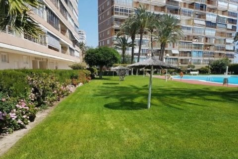 Apartment for sale in Alicante, Spain 3 bedrooms, 90 sq.m. No. 45162 - photo 5