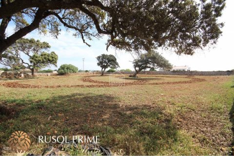 Land plot for sale in Ciutadella De Menorca, Menorca, Spain 32791 sq.m. No. 46881 - photo 10