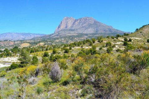 Land plot for sale in Finestrat, Alicante, Spain No. 44386 - photo 3