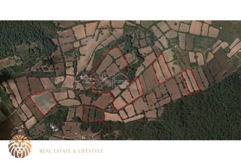 Land plot for sale in Alaior, Menorca, Spain 779 sq.m. No. 46956 - photo 13