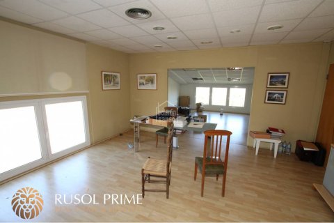 Commercial property for sale in Alaior, Menorca, Spain 800 sq.m. No. 46913 - photo 12