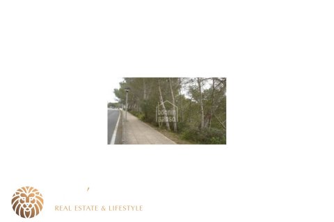 Land plot for sale Ferreries, Menorca, Spain 2375 sq.m. No. 46953 - photo 2