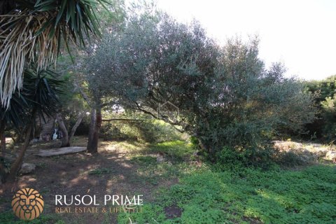 Land plot for sale in Ciutadella De Menorca, Menorca, Spain 1282 sq.m. No. 47098 - photo 1