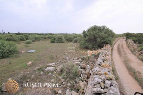 Land plot for sale Ciutadella De Menorca, Menorca, Spain 62 sq.m. No. 47075 - photo 6