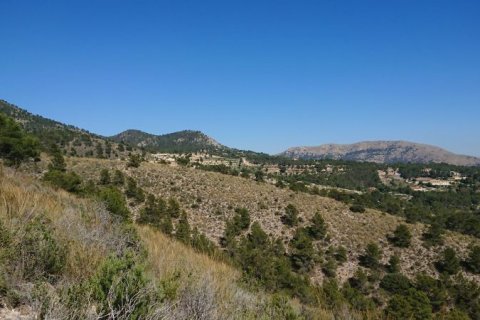 Land plot for sale in Finestrat, Alicante, Spain No. 42604 - photo 10