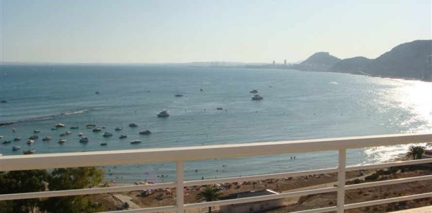 Penthouse in Alicante, Spain 6 bedrooms, 1.09 sq.m. No. 44606