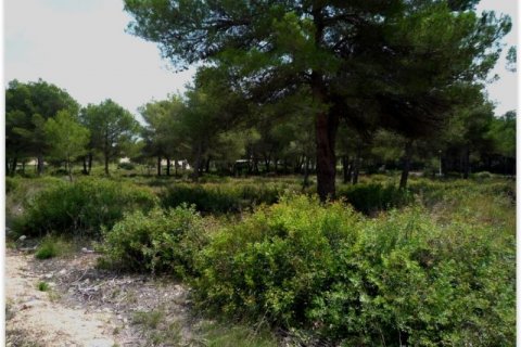 Land plot for sale in Javea, Alicante, Spain No. 43532 - photo 4