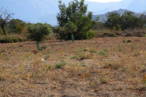 Land plot for sale Villajoyosa, Alicante, Spain No. 42607 - photo 9