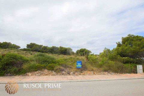 Land plot for sale in Es Mercadal, Menorca, Spain No. 47026 - photo 6