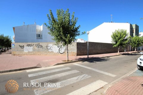Land plot for sale in Ciutadella De Menorca, Menorca, Spain 1004 sq.m. No. 46971 - photo 3