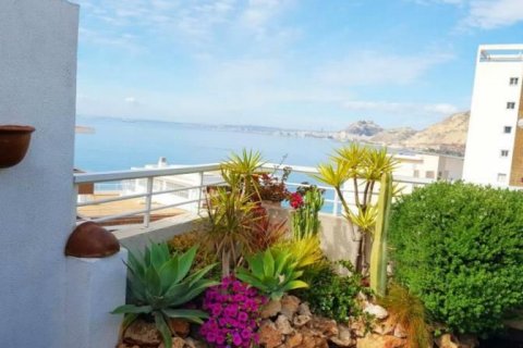 Penthouse for sale in Alicante, Spain 3 bedrooms, 350 sq.m. No. 44629 - photo 1