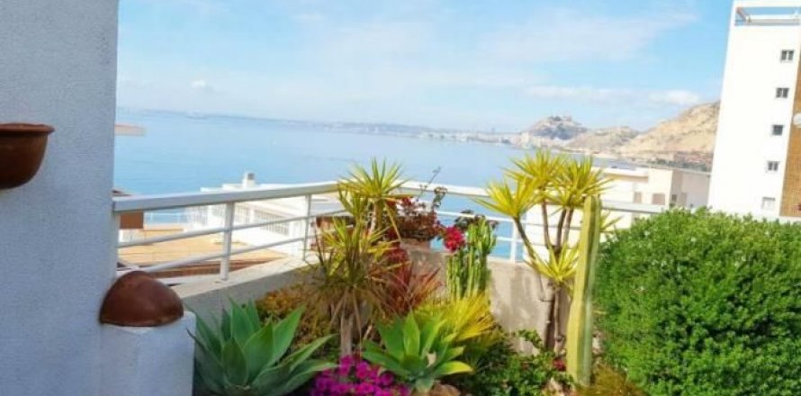 Penthouse in Alicante, Spain 3 bedrooms, 350 sq.m. No. 44629