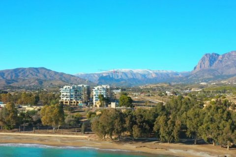 Villa for sale Benidorm, Alicante, Spain 2 bedrooms, 150 sq.m. No. 42773 - photo 8